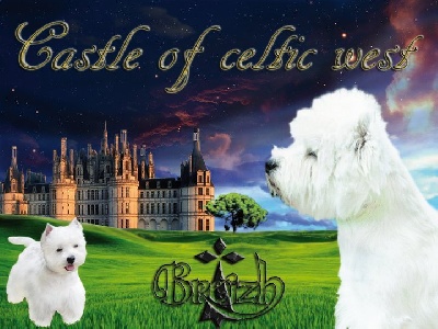 Castle Of Celtic West