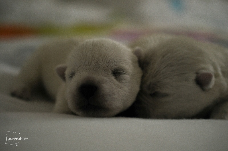 Les bébés à la maison...